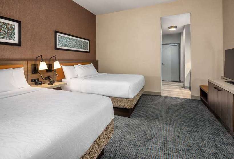 בית מלון כפרי Hilton Garden Inn Chicago Central Loop