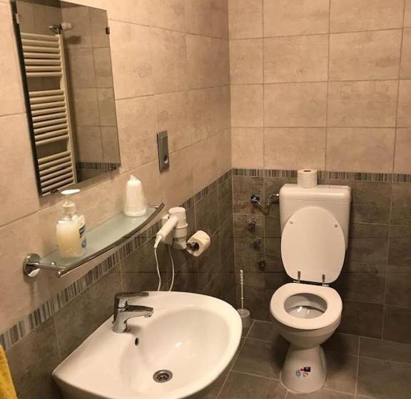 بنسيون Halász Airport Panzio
