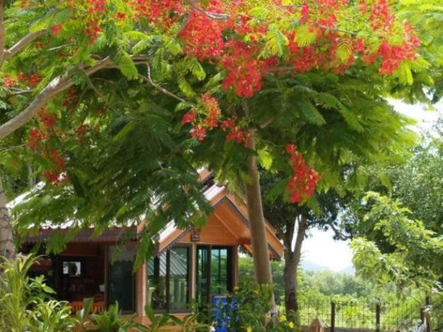 Faasai Resort & Spa