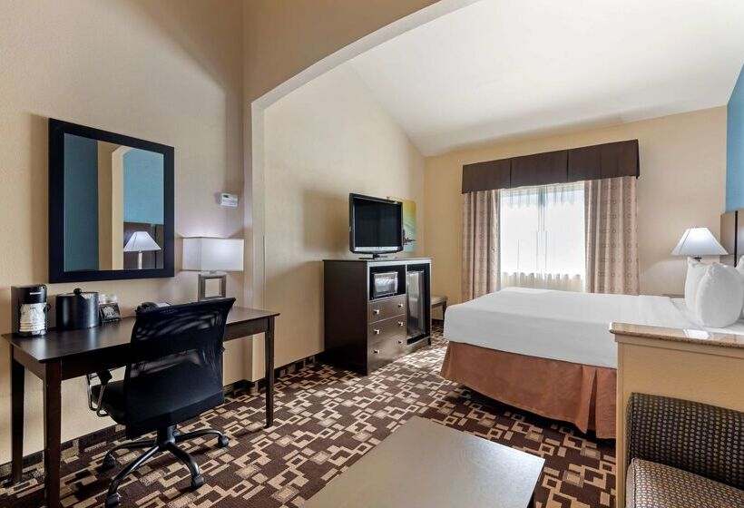 호텔 Best Western Plus Arlington North