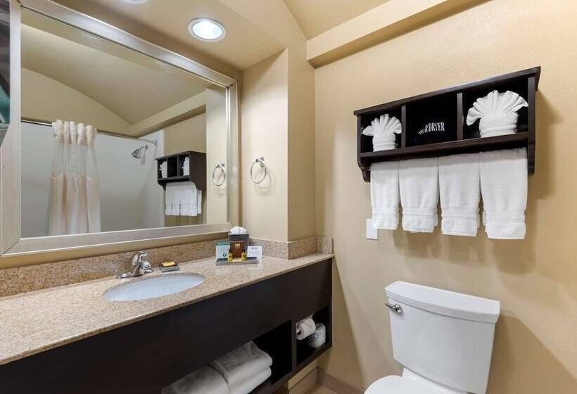 호텔 Best Western Plus Arlington North