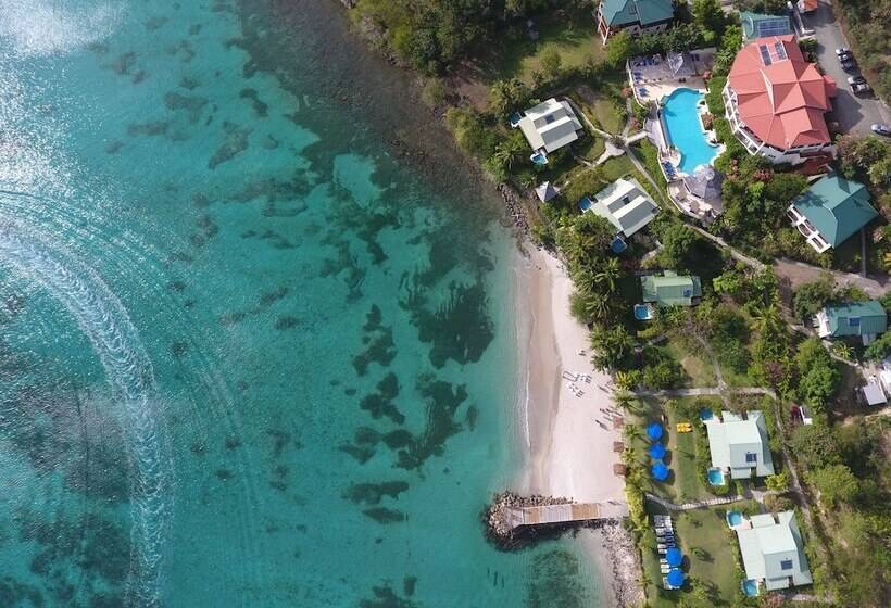 هتل Calabash Cove Resort And Spa   Adults Only