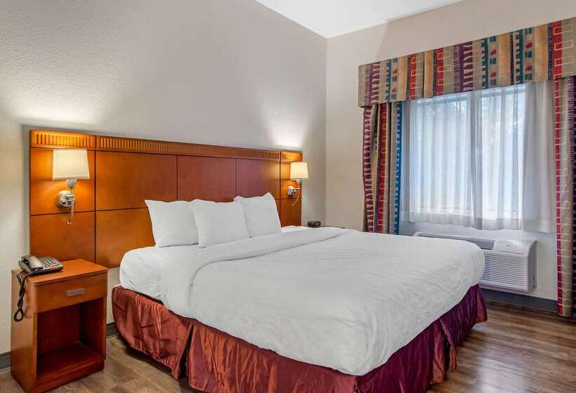 فندق Clarion Suites Duluth I 85