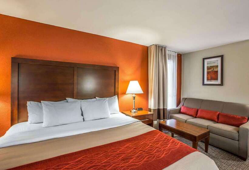 هتل Comfort Inn Near Great Smoky Mountain National Park