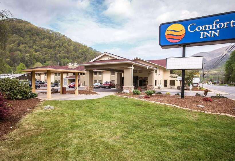 هتل Comfort Inn Near Great Smoky Mountain National Park