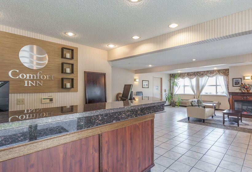 فندق Comfort Inn On The Bay