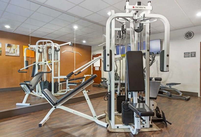 هتل Comfort Suites Columbia Northeast  Fort Jackson