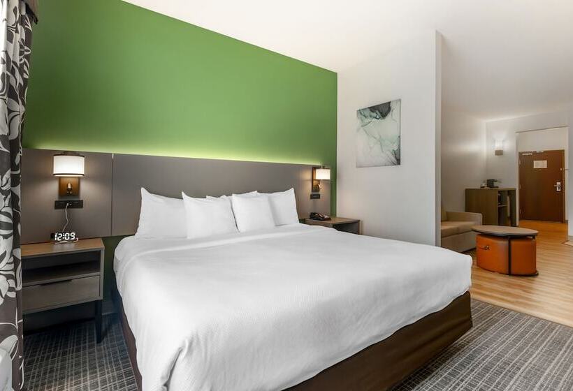 هتل Comfort Suites Conference Center Rapid City