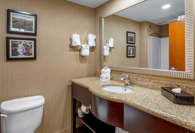 בית מלון כפרי Comfort Suites North