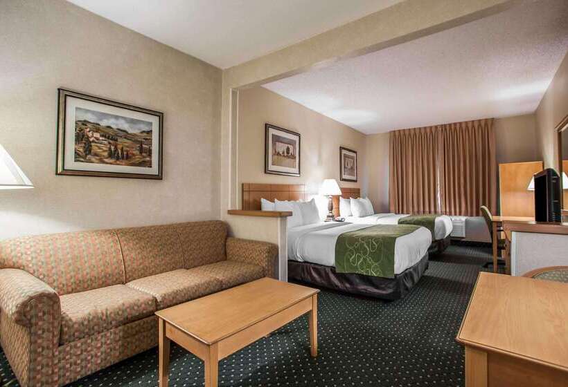 هتل Comfort Suites Peoria I 74