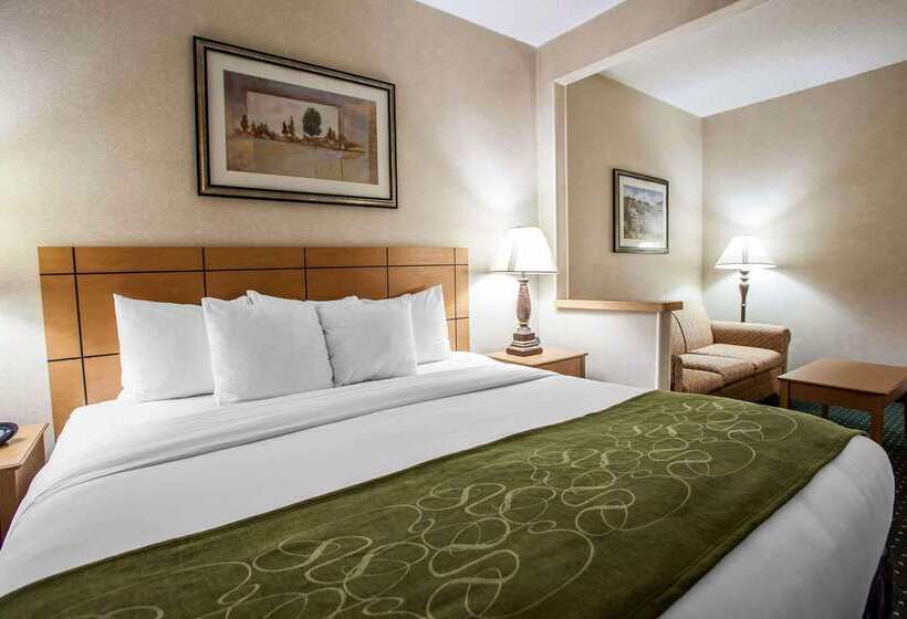 בית מלון כפרי Comfort Suites Peoria I 74