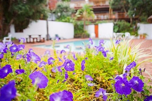 فندق Crawfords Beach Lodge