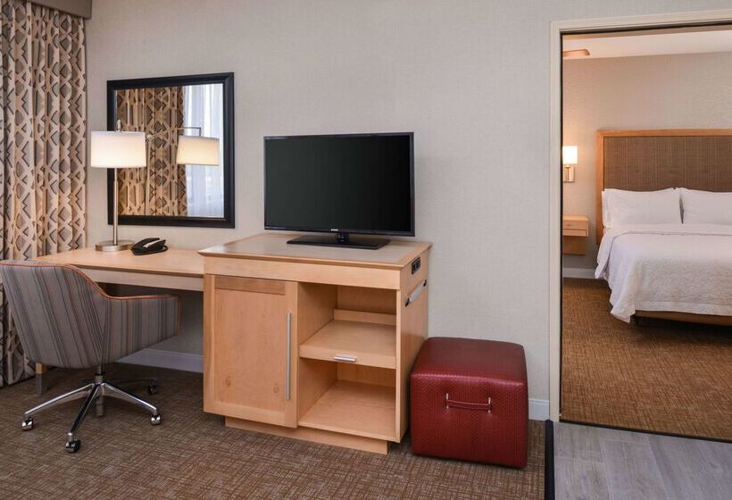 هتل Hampton Inn & Suites Denverspeer Boulevard