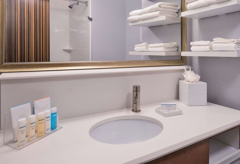 هتل Hampton Inn & Suites Denverspeer Boulevard
