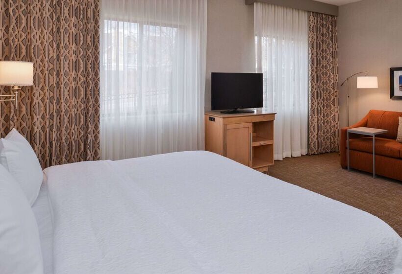 هتل Hampton Inn & Suites Denverspeer Boulevard