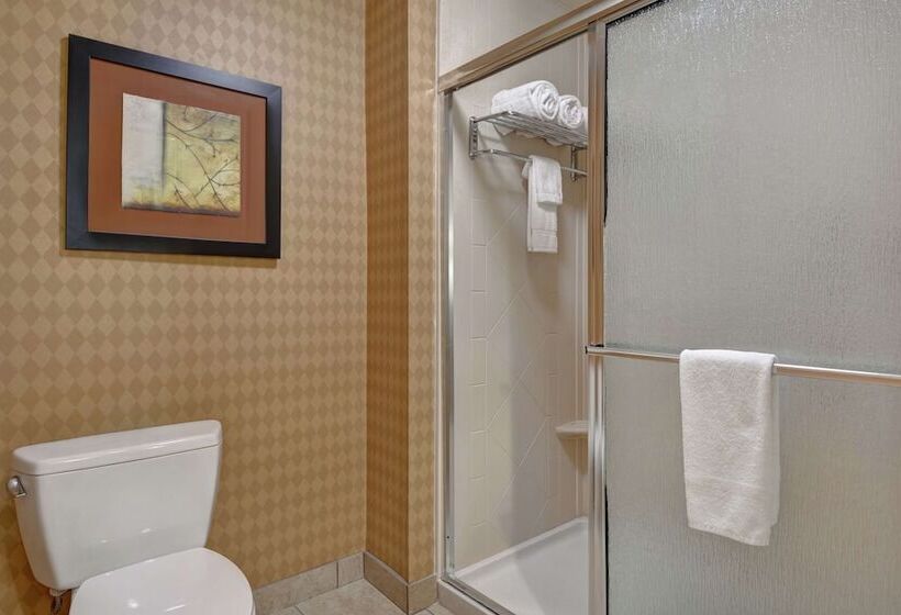 هتل Homewood Suites By Hilton Fayetteville