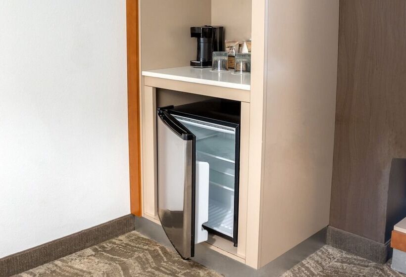 هتل Springhill Suites By Marriott Savannah Downtown Historic District