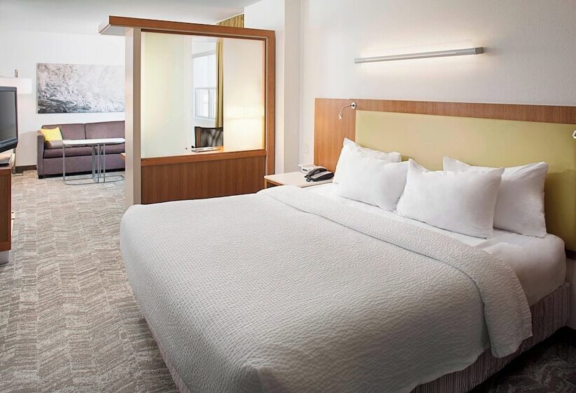 هتل Springhill Suites By Marriott Savannah Downtown Historic District