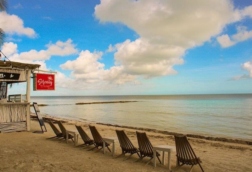 هتل Holbox Dream Beachfront
