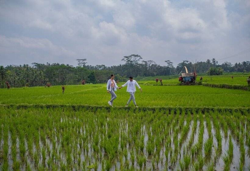 هتل Puri Wulandari A Boutique Resort & Spa   Chse Certified