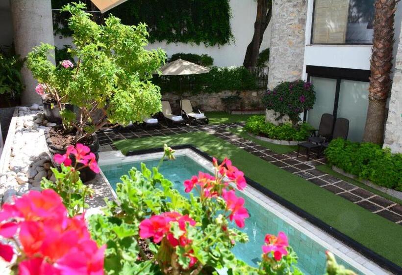 هتل & Spa Dona Urraca San Miguel De Allende