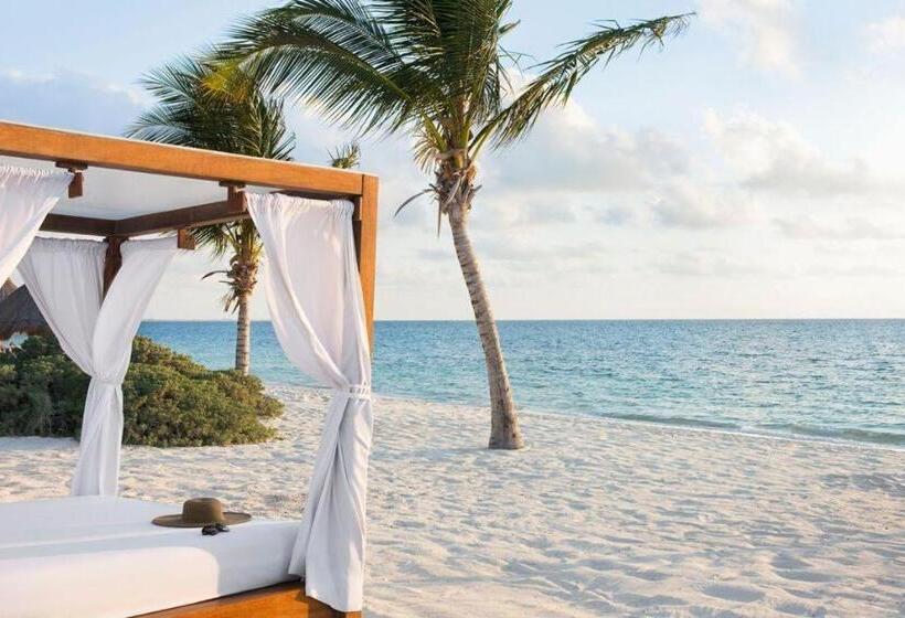 אתר נופש Excellence Playa Mujeres  All Inclusive  Adults Only