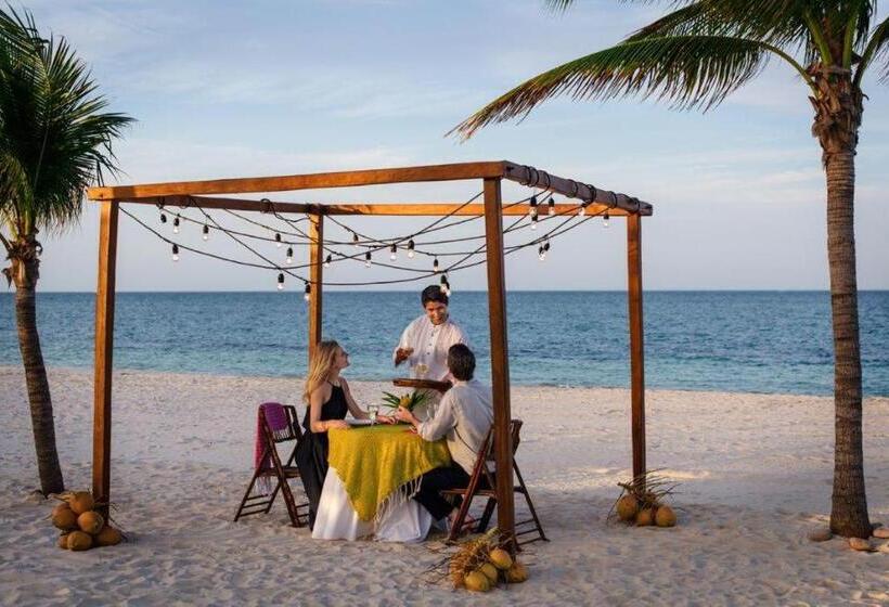 אתר נופש Excellence Playa Mujeres  All Inclusive  Adults Only