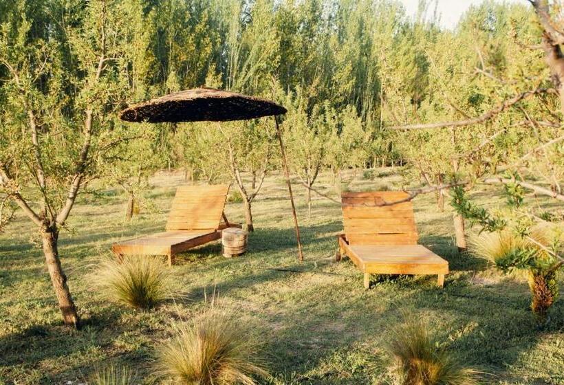 فندق صغير Las Guaras Valle De Uco