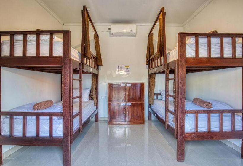 L Degus Hostel