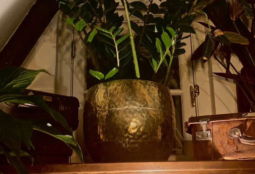 צימר The Enlightened House Luxury Suites