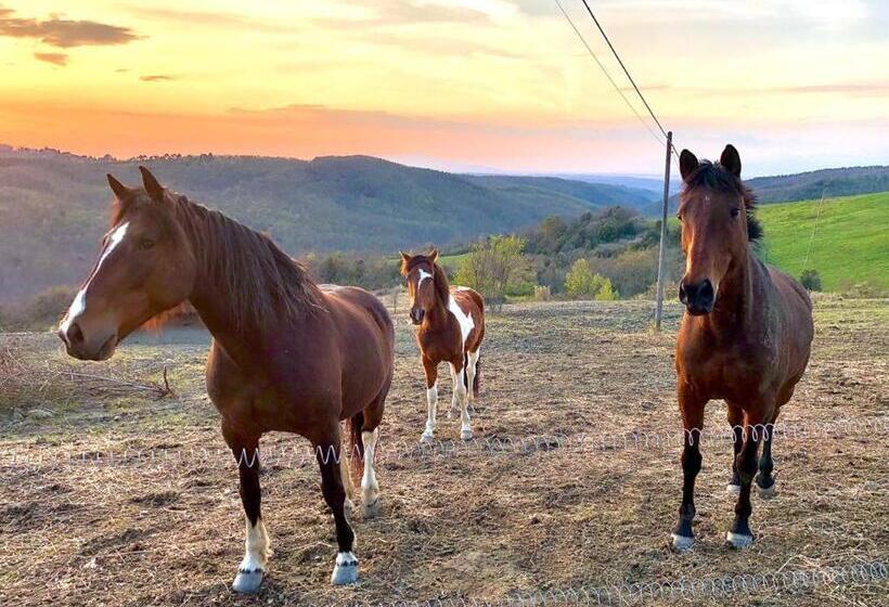 فندق Agriturismo E Maneggio Poggio Leone