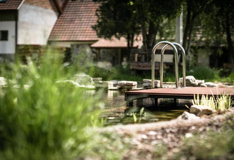 مبيت وإفطار Pajta Apartman és Vendégház