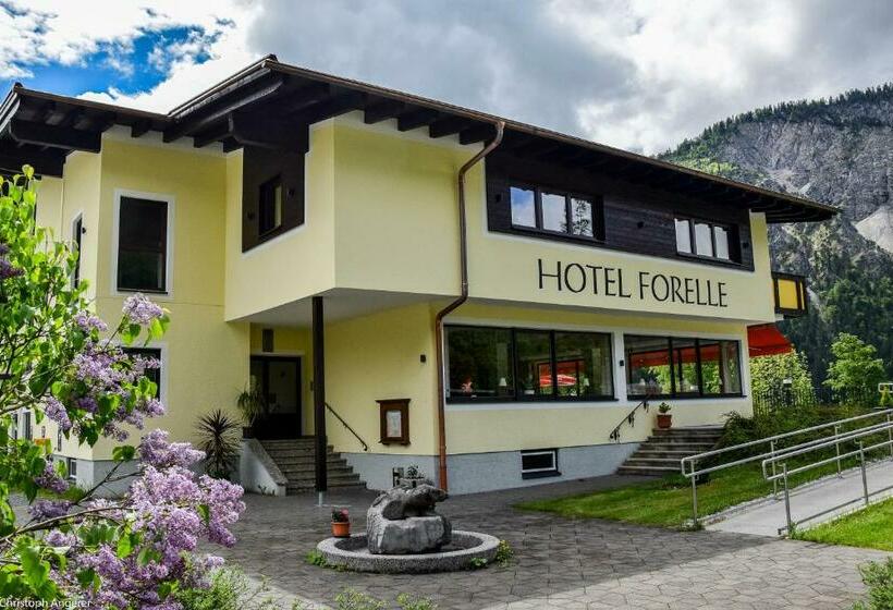 Отель Forelle