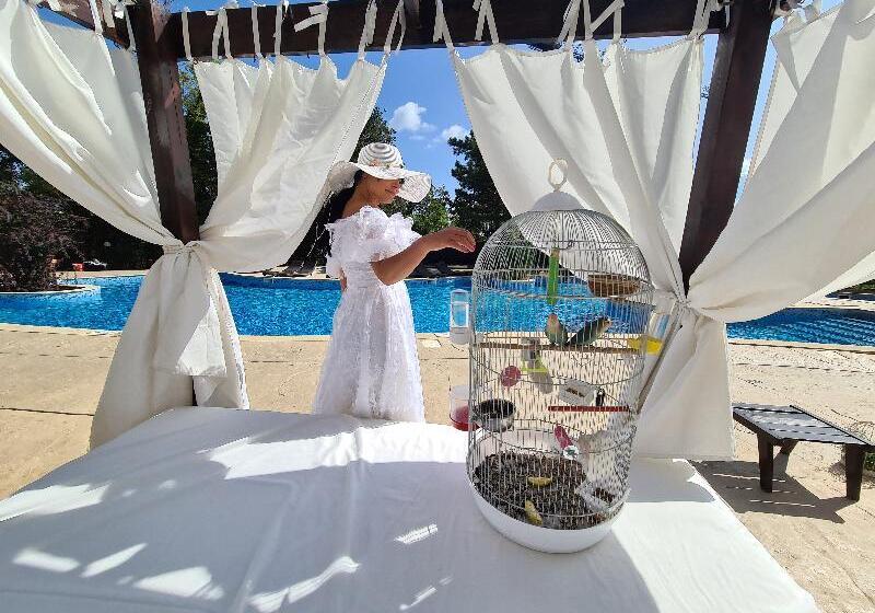 هتل Apollo Spa Resort   Ultra All Inclusive, Indoor And Outdoor Pools & Free Beach