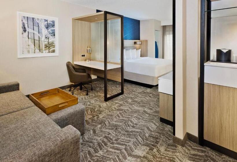 هتل Springhill Suites Birmingham Colonnade