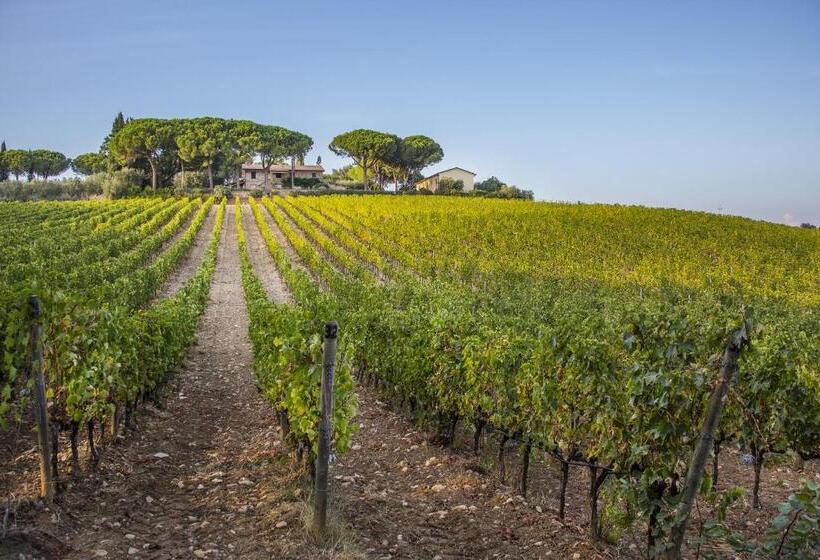 호텔 Fattoria Di Magliano Winery