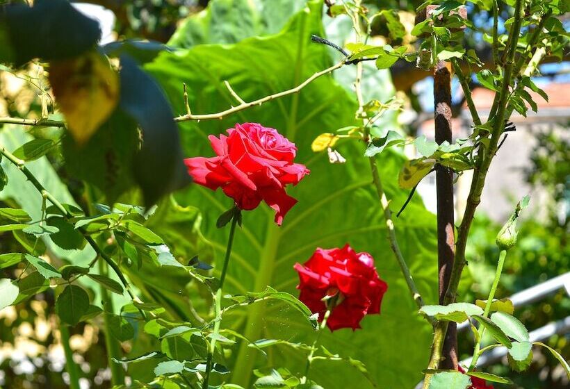 فندق The Secret Garden Relais