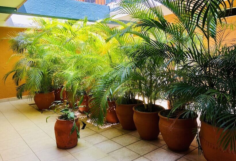 هتل Playa Del Parque By Rotamundos