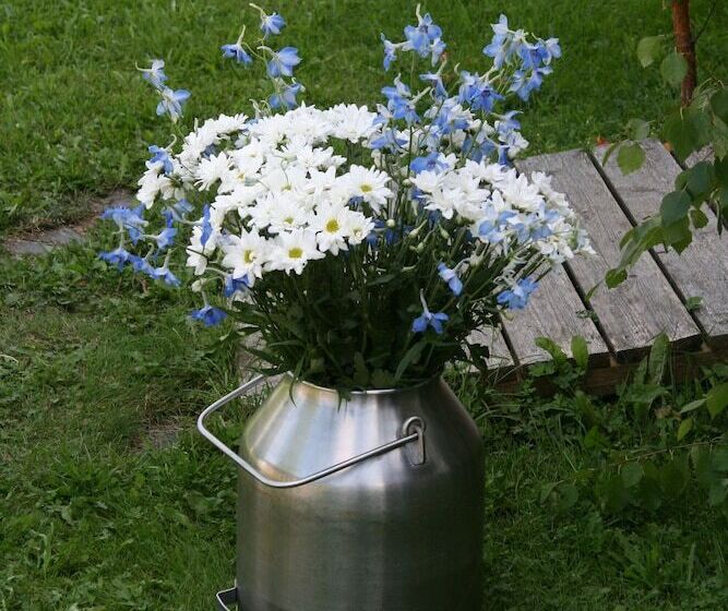 Bed and Breakfast Vehkaniemi Holyday Estate