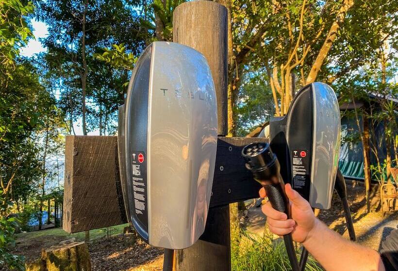 בית מלון כפרי Binna Burra Rainforest Campsite