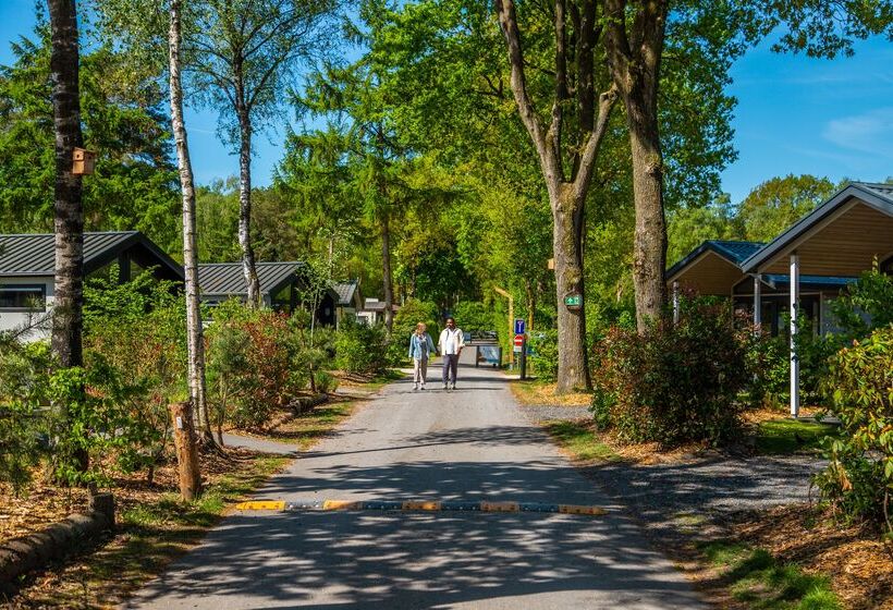 منتجع Europarcs De Wije Werelt