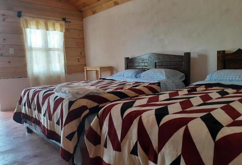 فندق Cabañas Liquidambar