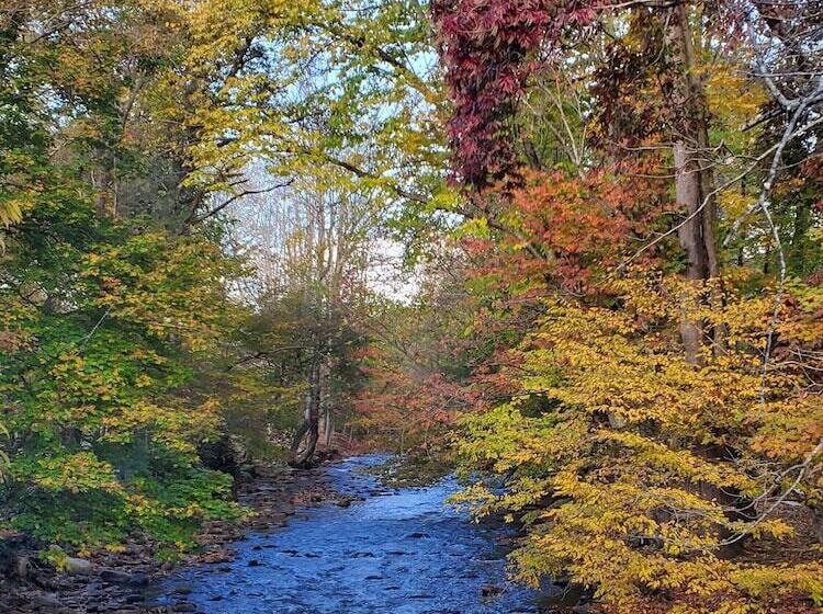 هتل Cozy Creek Cottages