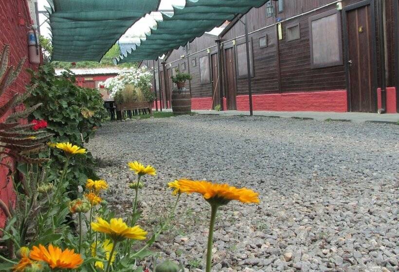 تختخواب و صبحانه Hostal Del Suri