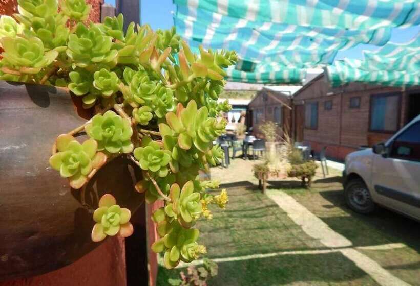 تختخواب و صبحانه Hostal Del Suri