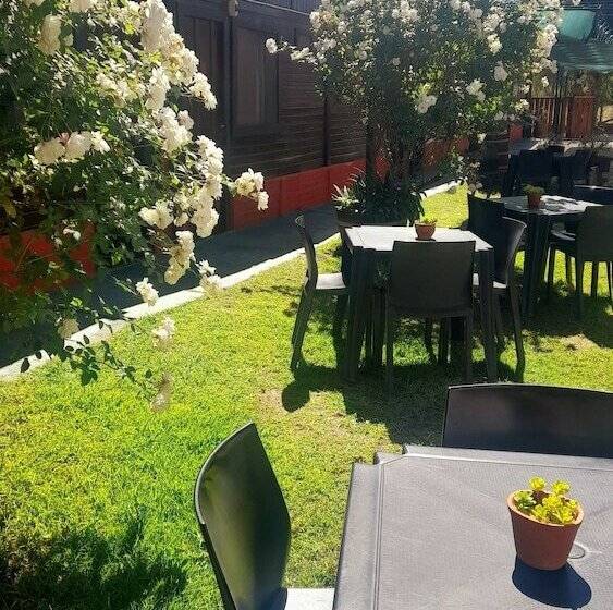 تختخواب و صبحانه Hostal Del Suri