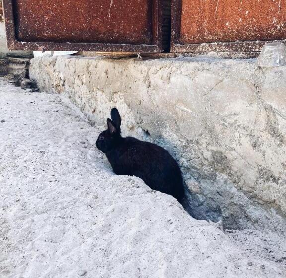 צימר Malaika House Paje