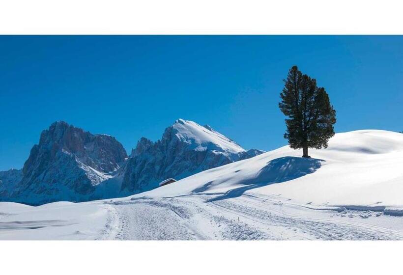 هتل Seiser Alm Plaza