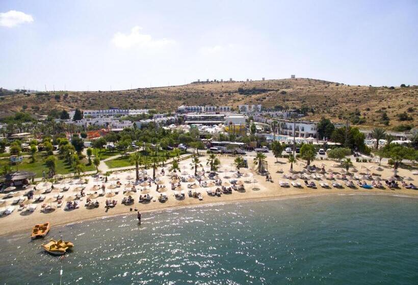 Jasmin Beach Hotel   All Inclusive