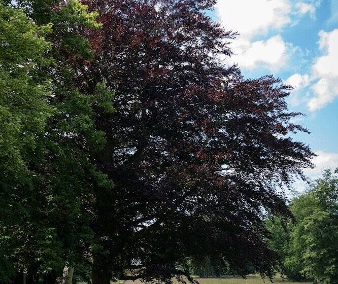 فندق Chateau De Sissi